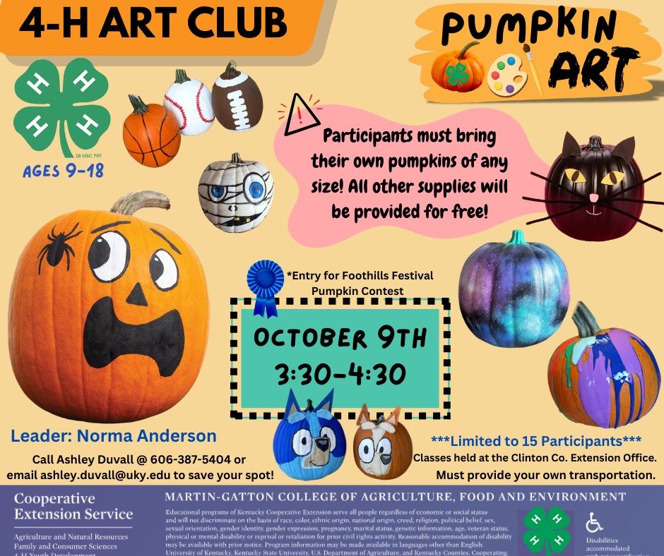 4-H Art Club